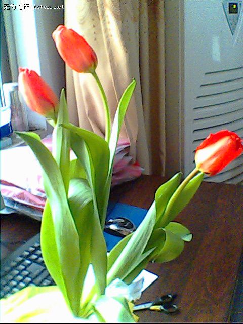 IMG0311A.jpg