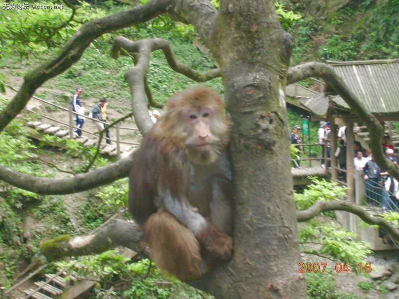 DSCN1156.JPG