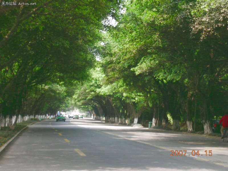 DSCN1061.JPG