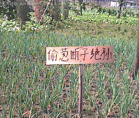 200408241419121.jpg