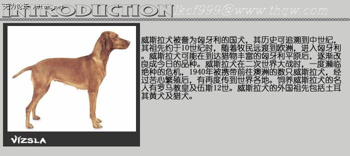 151827_320944531_dyqfzxzl.jpg