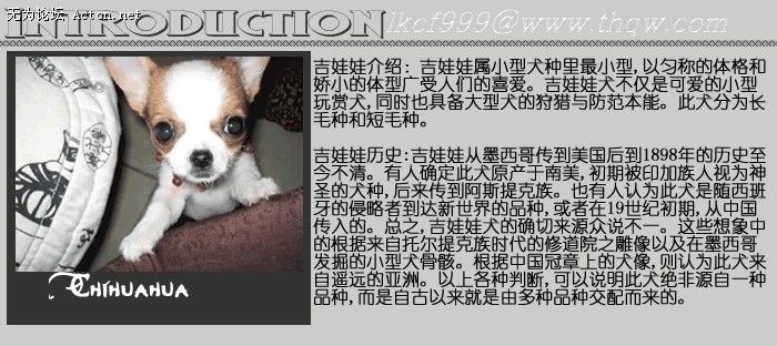 151807_1680040979_szqmjccf.jpg