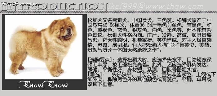 151924_105551034_tzdvbfbv.jpg