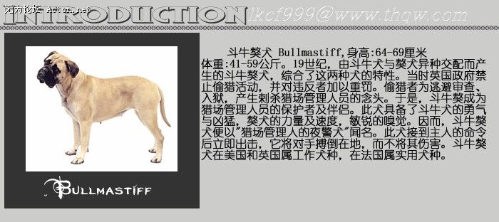 151930_1779458914_fuhvaikn.jpg