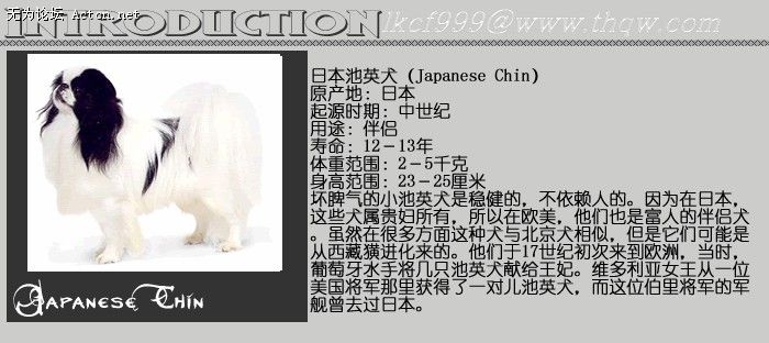 151916_764472191_gkkyofqa.jpg