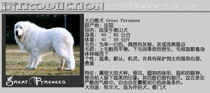 151922_1750721579_gwvgieph.jpg