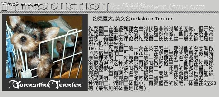 151553_100207048_tqcsggsh.jpg