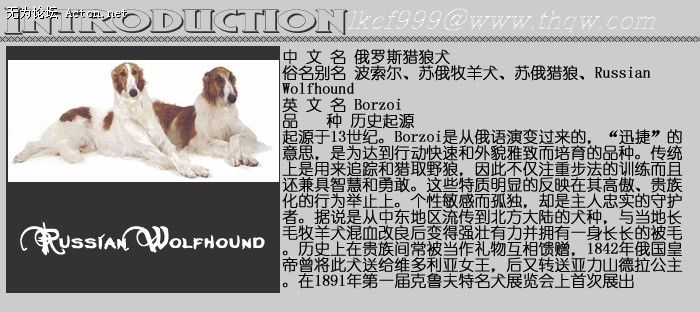 151657_696909553_peidhdqd.jpg