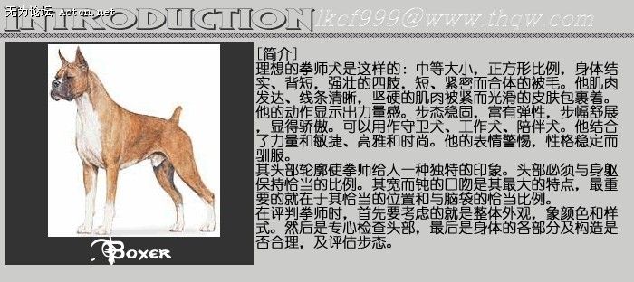 151543_4151203_dtuwcesj.jpg