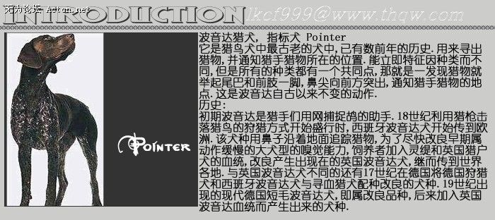 151719_1725823492_vvtkcqfb.jpg