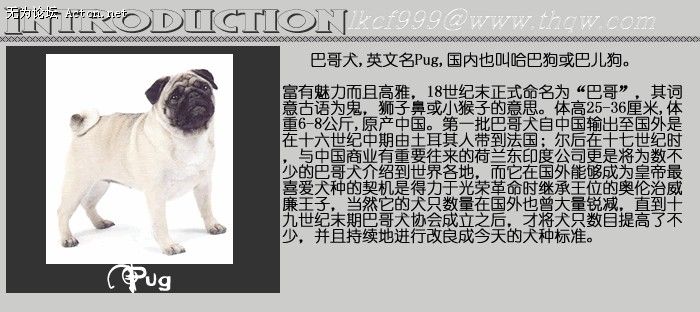 151548_939784435_yauuzuqg.jpg