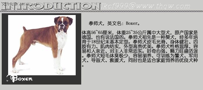 151621_423221947_jsrdbamc.jpg