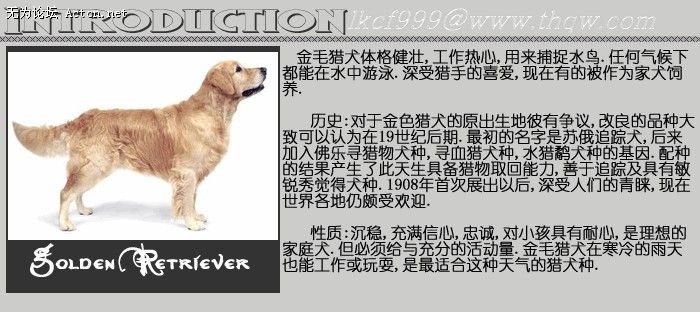 151641_1781705721_ukunhwvt.jpg