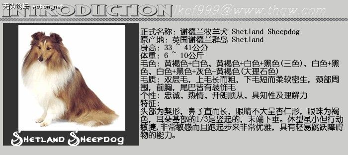 151823_1925010101_hqznkyqr.jpg