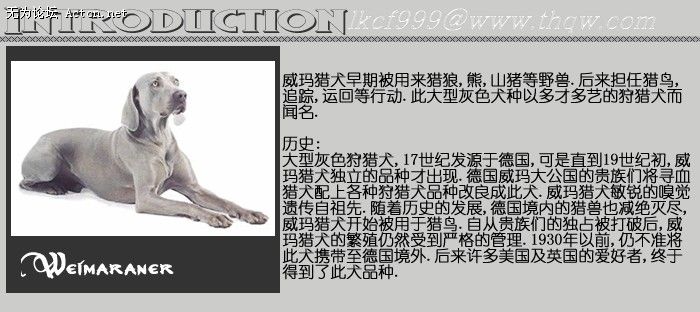 151833_1324256012_mzasdntt.jpg