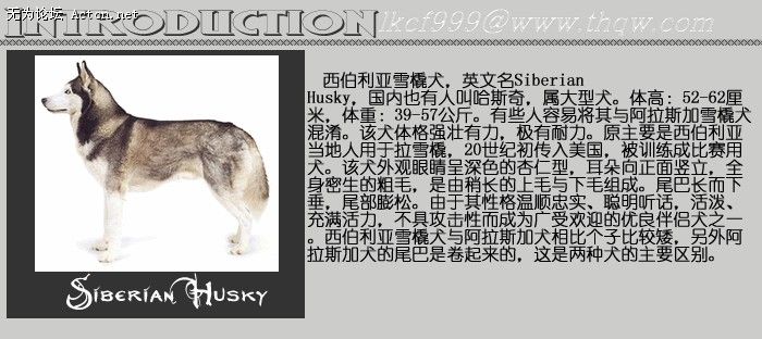 151933_1303554783_glwtohsg.jpg
