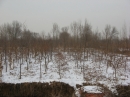 1202471402_96461400s.jpg