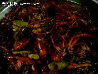 Photo-2576.jpg