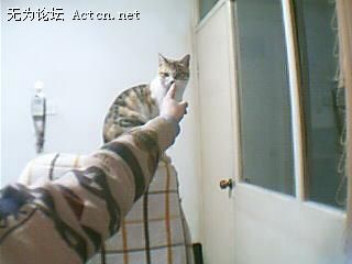 ͼƬ 003.jpg