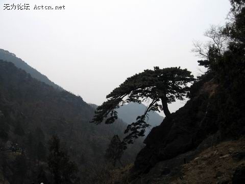 С ع IMG_1853.jpg
