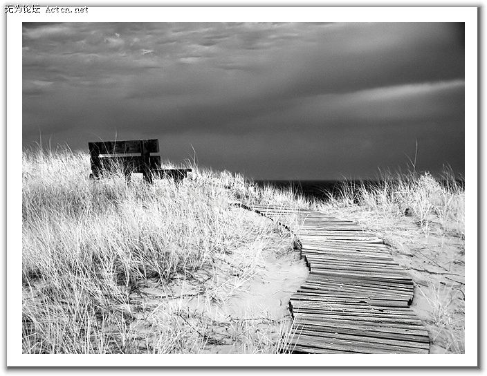 20080408_0f99c1e0ad0d8100602cNd2Zx7CZ5z2z.jpg