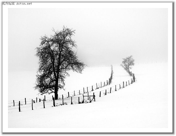 20080408_b1e8b79a93673bb8578aREXByi0zDksl.jpg