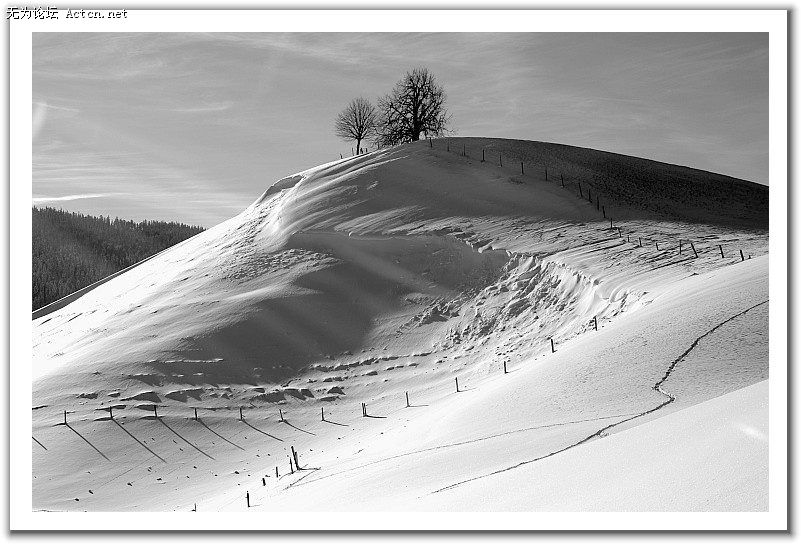 20080408_a758ad048f38dc3cb15chlNA16is9gei.jpg