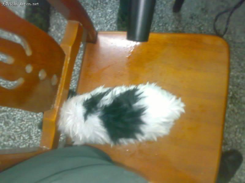 20080421012-001.jpg