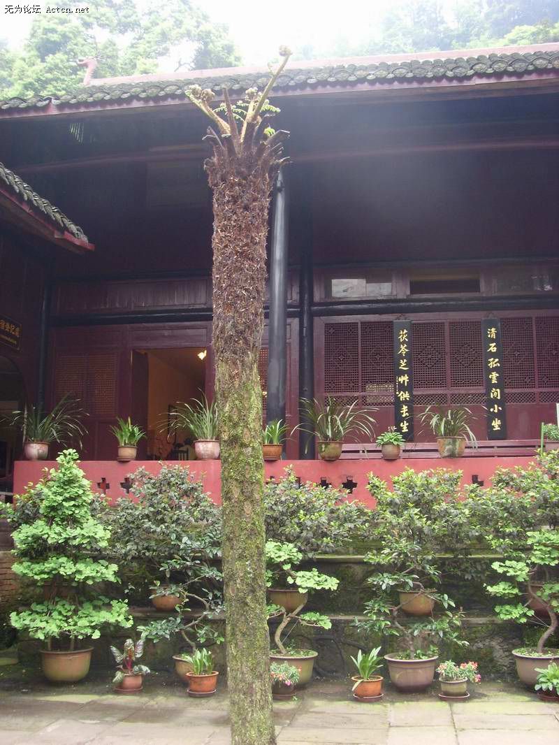 SI850570.JPG