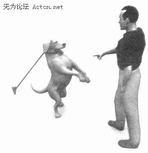 ׹棺ŭʱ̧ͷűӣ¶ݣ˷档͹ӴҪע⹷ı֣ ...