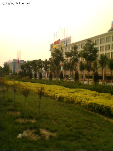IMG0031A.jpg