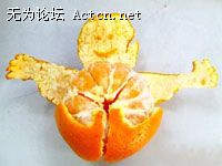 05.jpg