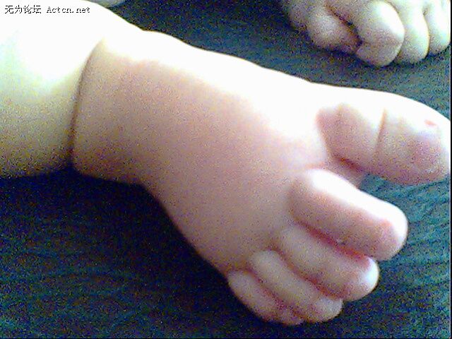 IMG0402A.jpg