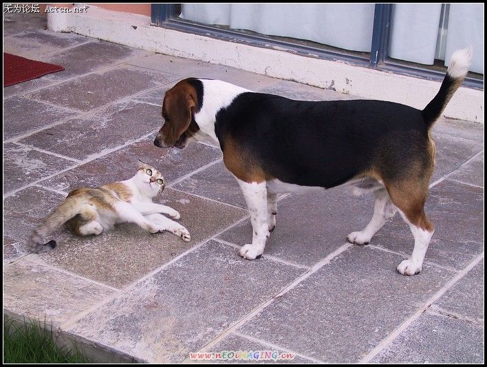 20.jpg