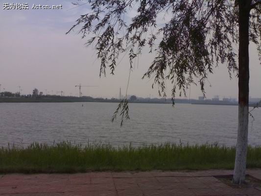С 06152008263.jpg