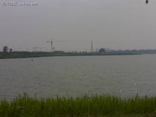 С 06152008264.jpg
