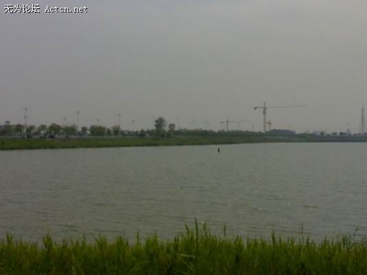 С 06152008265.jpg