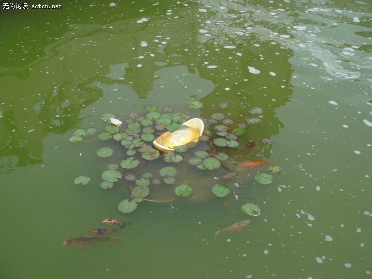 ������С DSC03942.jpg