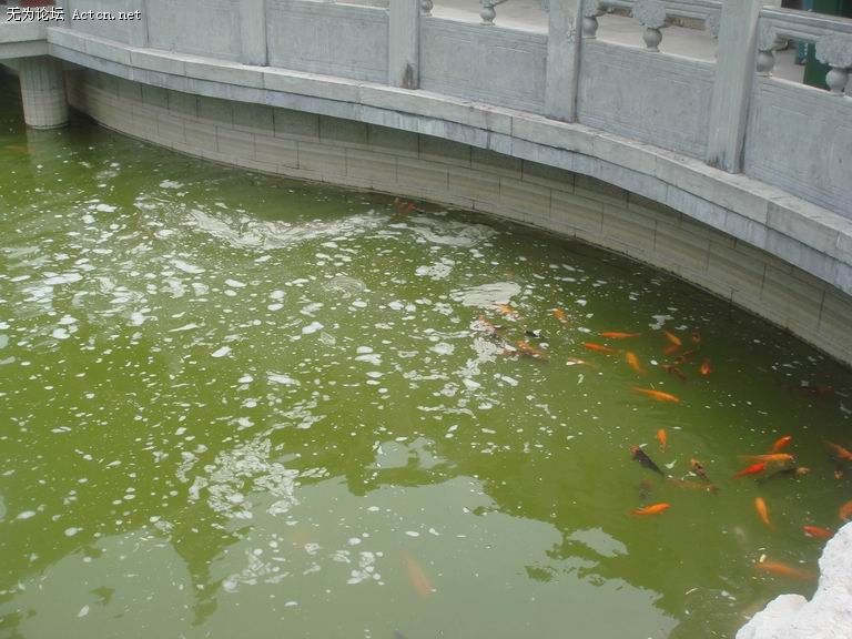 ������С DSC03941.jpg