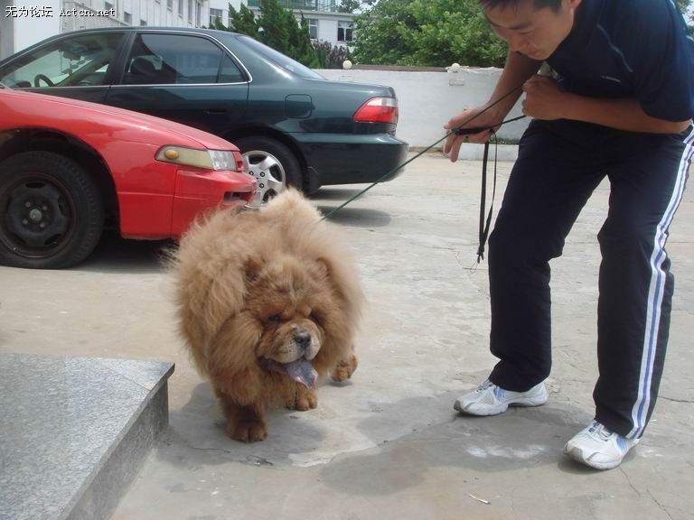 ������С DSC04128.jpg