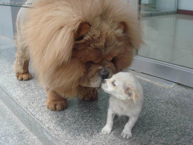 ������С DSC04125.jpg