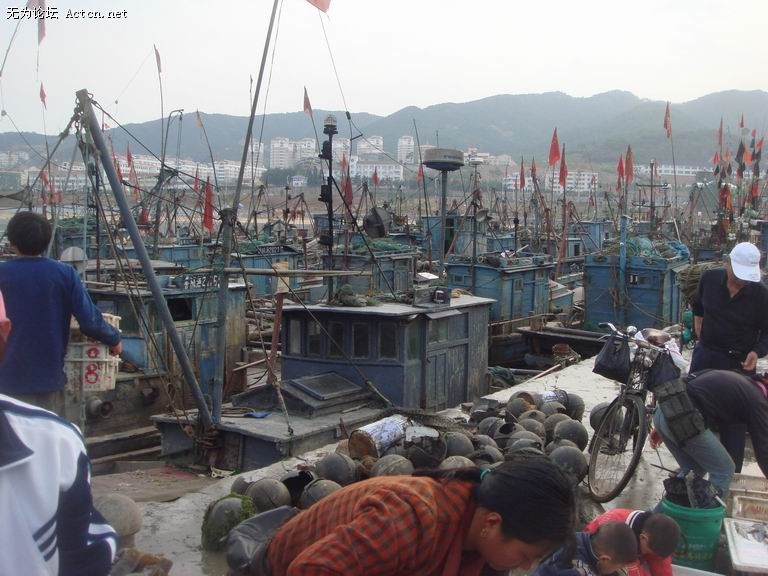 �����г�