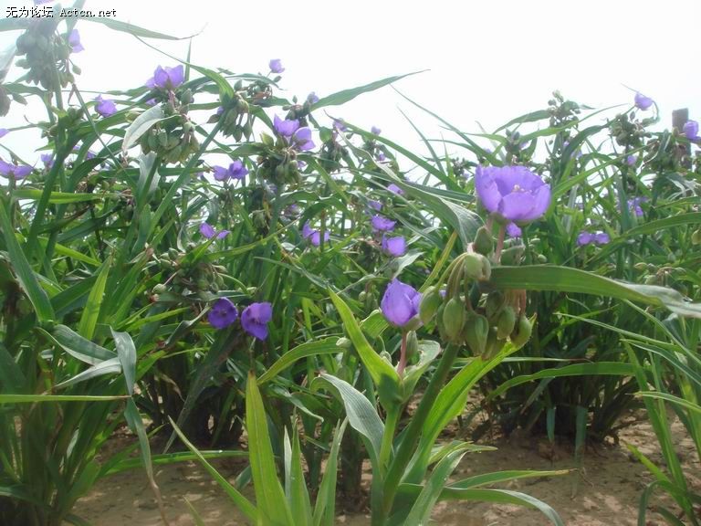 ������С DSC04080.jpg