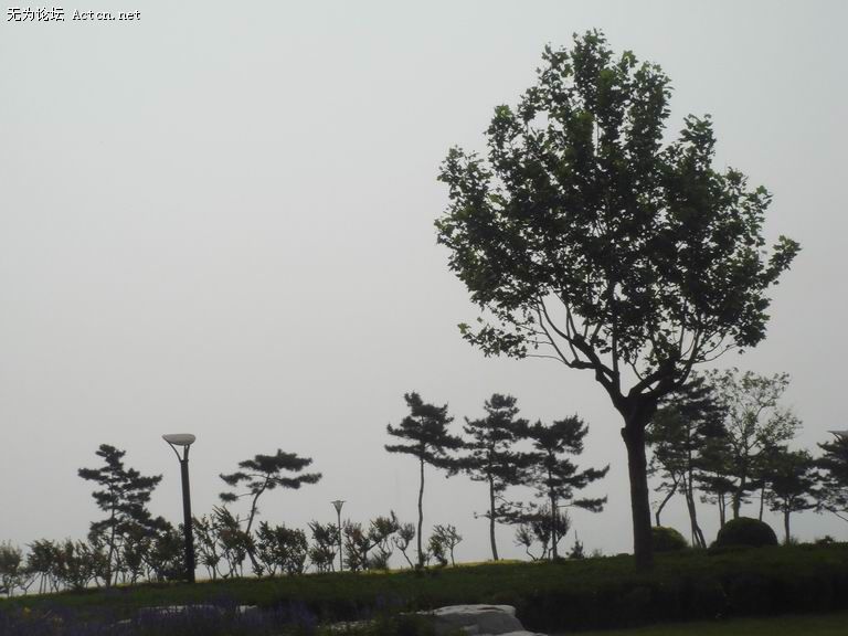 ������С DSC04033.jpg