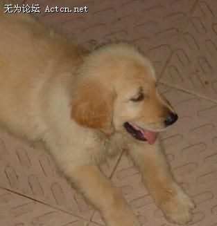 20080620.jpg