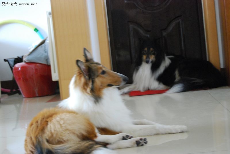 DSC_0043.jpg