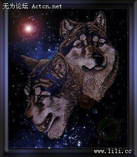 wolvespic.jpg