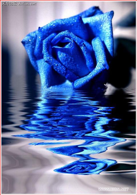 8dyJ_w7UgueUgzu8g0+84.jpg