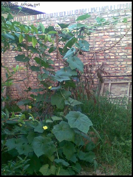 20080713(008).jpg