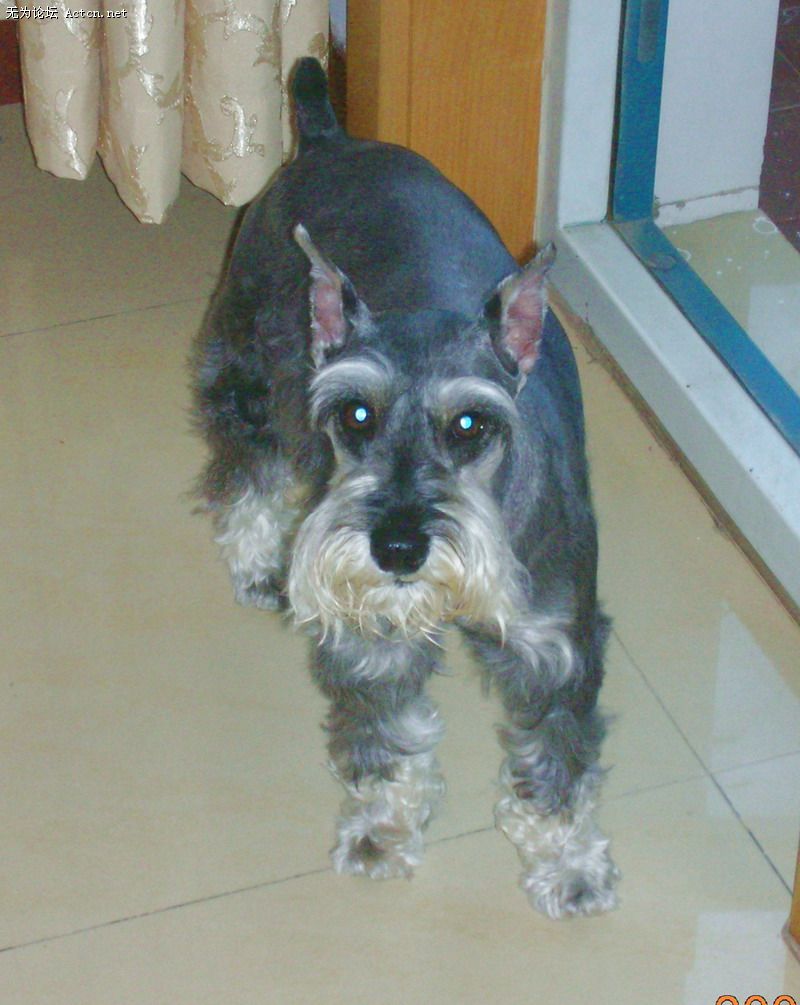 DSCN1842.JPG